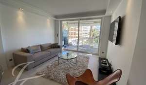 Seasonal rental Apartment Cannes