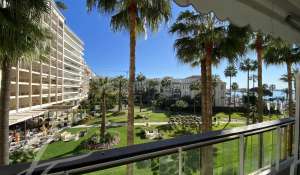 Seasonal rental Apartment Cannes