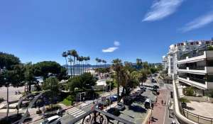 Seasonal rental Apartment Cannes