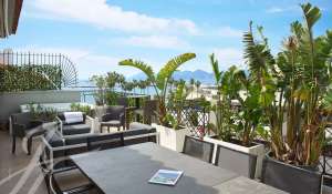 Seasonal rental Apartment Cannes