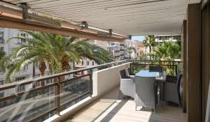 Seasonal rental Apartment Cannes