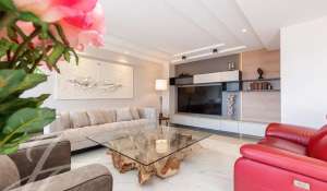 Seasonal rental Apartment Cannes