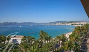 Seasonal rental Apartment Cannes