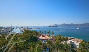 Seasonal rental Apartment Cannes