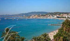 Seasonal rental Apartment Cannes