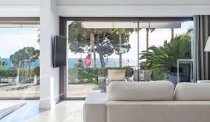 Seasonal rental Apartment Cannes