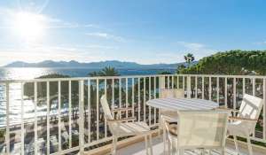 Seasonal rental Apartment Cannes