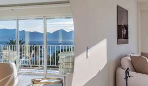 Seasonal rental Apartment Cannes