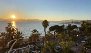 Seasonal rental Apartment Cannes