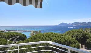 Seasonal rental Apartment Cannes