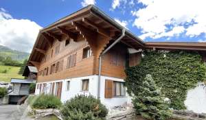 Seasonal rental Apartment Saanen