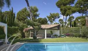 Seasonal rental Property Antibes