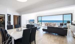 Seasonal rental Property Cannes