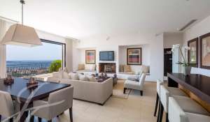 Seasonal rental Property Golfe-Juan