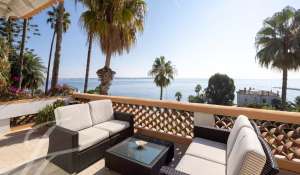 Seasonal rental Property Golfe-Juan