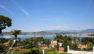 Seasonal rental Villa Antibes