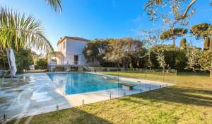 Seasonal rental Villa Antibes