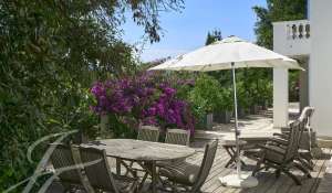 Seasonal rental Villa Cannes