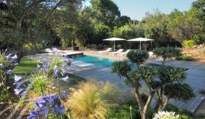 Seasonal rental Villa Sainte-Lucie-de-Porto-Vecchio