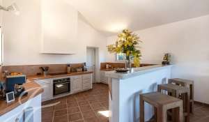 Seasonal rental Villa Sainte-Lucie-de-Porto-Vecchio