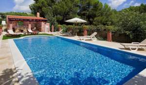 Seasonal rental Villa Sant Carles de Peralta